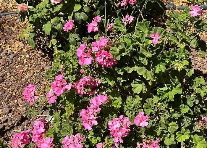 펜션 Sea View Maisonette On Coastal Road, Zygi